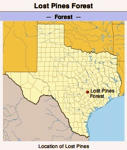 Lost Pines Forest. (Image. Wikipedia.org)