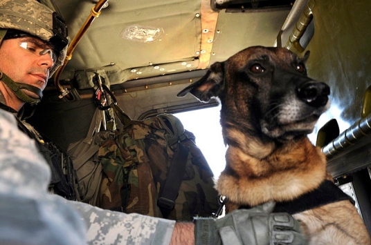 US Army Handler Barriere and Buddy. (Harris. USAF.090106-F-5751H-037/ US public domain. US military/ Commons.wikimedia.org)