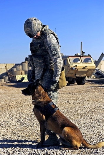 Hot, rough, dangerous land. (US Army handler Barriere and Buddy by Harris.USAF.090106-F-5751H-093: US public domain. US military/ Commons.wikimedia.org)