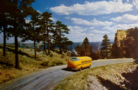 mid 1950's Vintage postcard. Grand Canyon's Rim Road.Intermountain Tourist Supply./Personal collection 