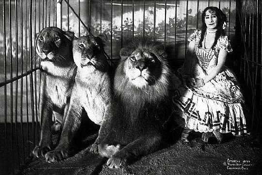 Adjie Castillo and her lions. 