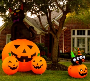 Halloween inflated yard pumpkins. all rights reserved. no permissions granted. copyrighted