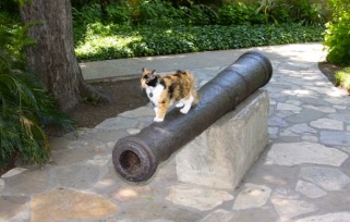 Bella standing on Alamo canon. Image by TX General Land Office