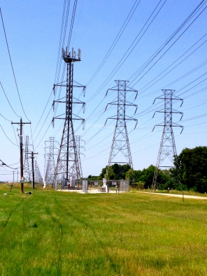 Rows of power lines and towers: the crowned one, pair of large bodyguards, and a page.