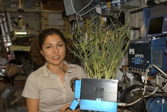 woman with plant. International Space station. Anousheh Ansari with plant grown in Zvezda Serv. Module.(NASA.spaceflight.nasa.gov/USPD/Commons.wikimedia.org)