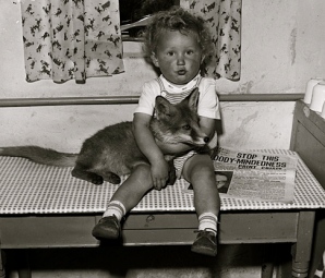Little Girl sitting with fox on a kitchen table. (1959 National Lib of Wales. Geoff Charles/Universal PD/Commons.wikimedia.org)