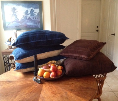 Still life with fruit, objects and dog beds. Image © ALL rights reserved, no permissions granted, copyrighted 