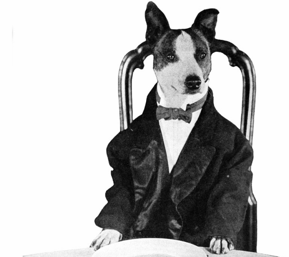 Dog in suit sitting at table, (Motion Picture News, 1921, Century films, Universal pictures (USPD pub.date, artist life/Commons.wikimedia.org)