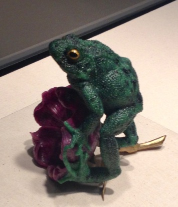 Green Frog on purple flower. (Houston Museum Natural Science /© image copyrighted, all rights reserved, no permissions granted)