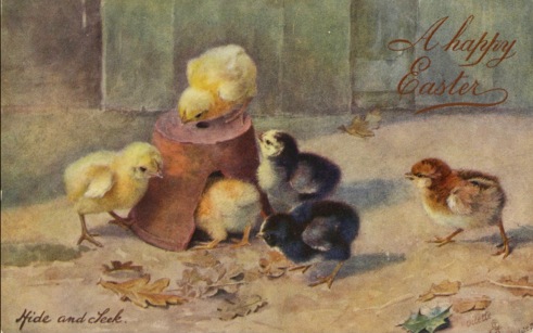 Chicks hiding in flower pot. Easter postcard. 1908 Tuck & Sons postcard.(USPD. pub.date/Artist life/Commons.wikimedia.org)