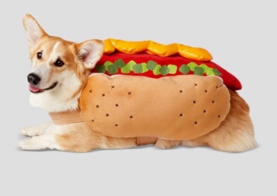 dog in Halloween costume (image Target website)