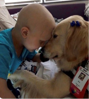 Dog extend comforting paw to sick child (KHOU screenshot)