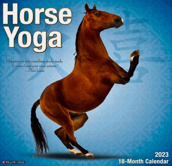 Rearing brown horse doing yoga. Horse yoga calendar. (Screenshot Amazon) 