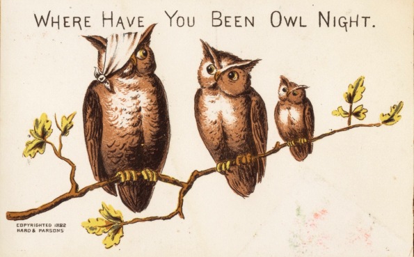 Owls on a branch. 1882 Advertising trade card. Boston Pub.Lib. (USPD pub.date, artist life/Commons.wikimedia.org)