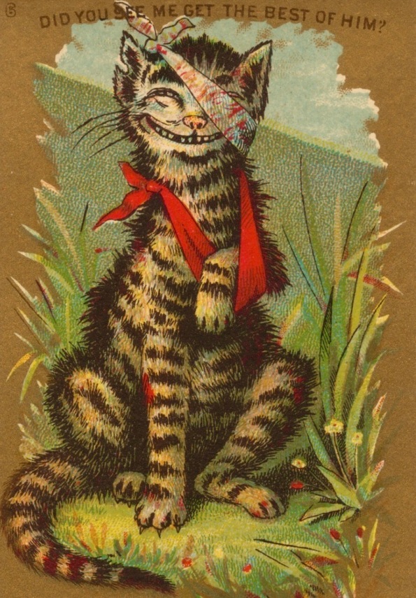 Beat up cat with paw in sling (1881 trade card/Boston Pub.Lib/USPD. artist life, pub.date/COmmons.wikimedia.org)