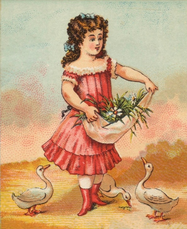 Girl holding apron full of flowers with 3 geese (1870's Stock trade card/Boston. pub.lib/USPD pub.date, artist life/Commons.wikimedia.org)