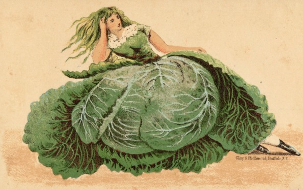 Woman wearing cabbage dress. 1870's Boston Pub.Lib (USPD.pub.date, artist life/Commons.wikimedia.org)