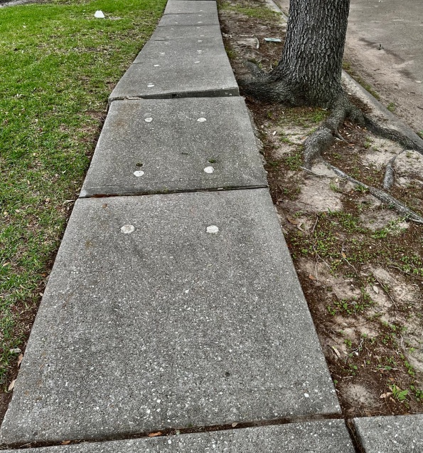 repaired sidewalk upset by tree. (©  image copyrighted, all rights reserved, no permissions granted)