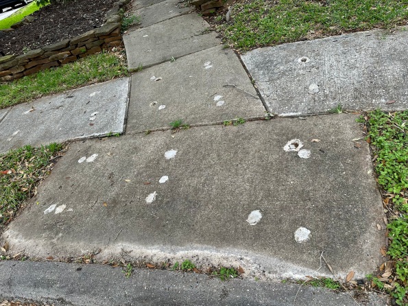 Botched sidewalk repairs. (© image copyrighted. all rights reserved, no permissions granted)